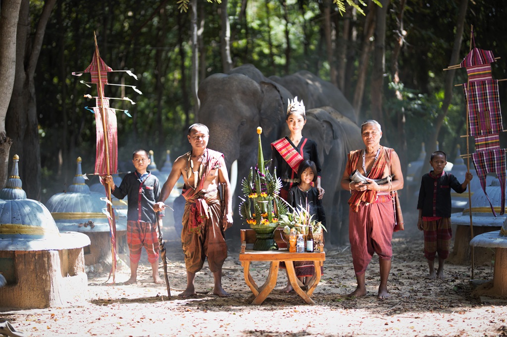 Contadino ed elefante in una risaia all'alba in Thailandia.