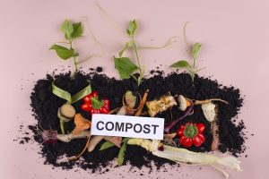 Immagine di compost con scarti organici, terra e piantine, rappresentante il processo di compostaggio domestico.
