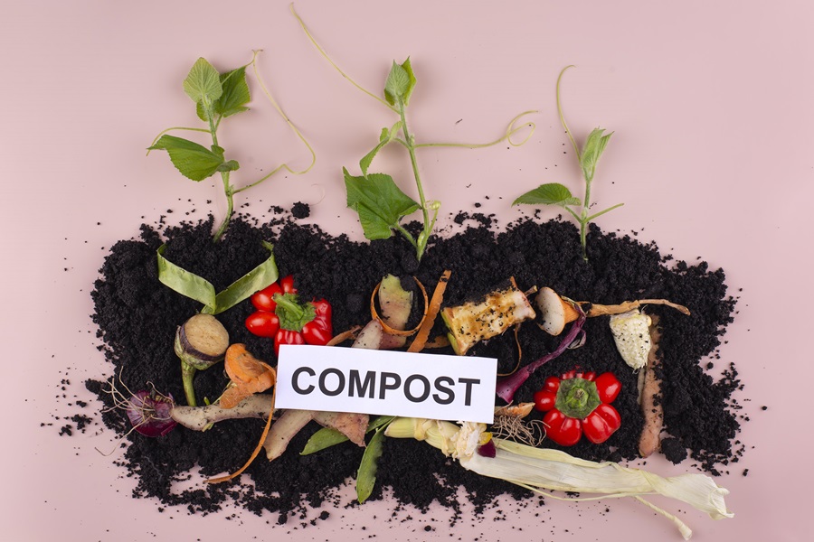 Immagine di compost con scarti organici, terra e piantine, rappresentante il processo di compostaggio domestico.